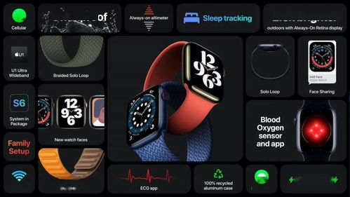 Apple Watch Series 6 的玄機(jī) U1 芯片與無(wú)線 CarPlay 如何重塑手腕上的智能生態(tài)